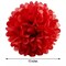6 Red 10" Paper POM POMS Reception Birthday Party Wedding Crafts Decorations